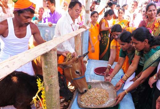 krishi utsav13feb2 2